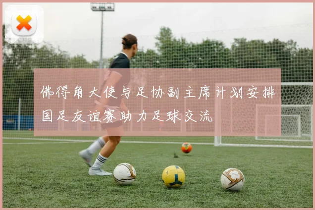 佛得角大使与足协副主席计划安排国足友谊赛助力足球交流