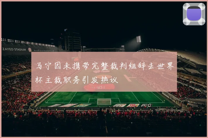 马宁因未携带完整裁判组辞去世界杯主裁职务引发热议