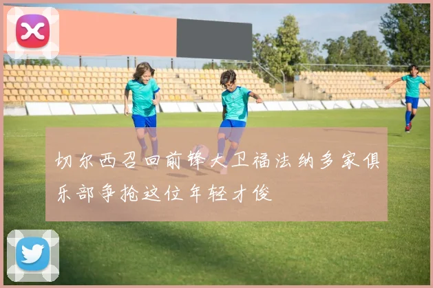 切尔西召回前锋大卫福法纳多家俱乐部争抢这位年轻才俊