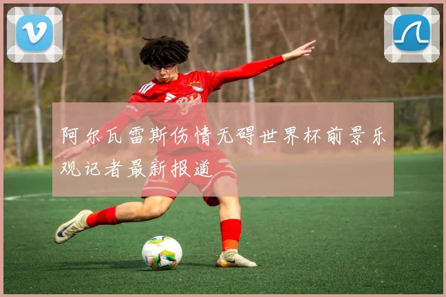 阿尔瓦雷斯伤情无碍世界杯前景乐观记者最新报道