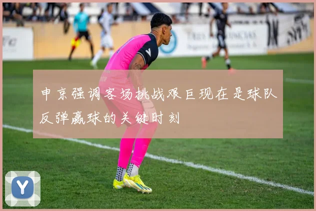 申京强调客场挑战艰巨现在是球队反弹赢球的关键时刻